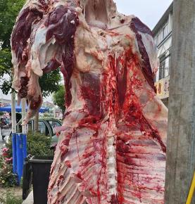 牛肉批發