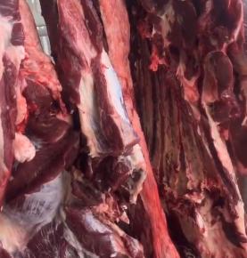 批發牛肉
