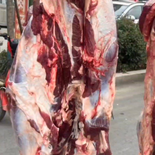 驢肉批發